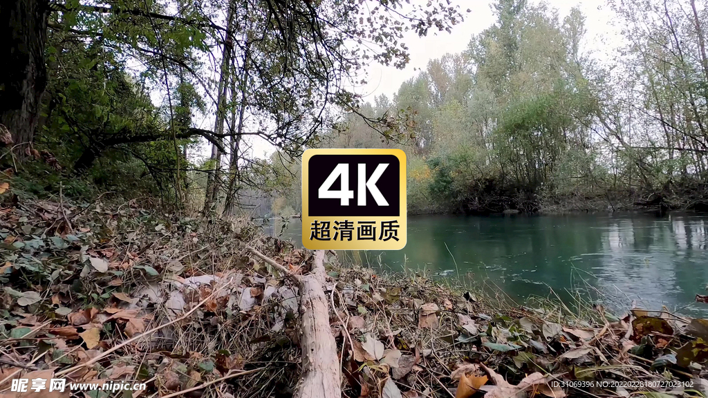 唯美丛林河流美景