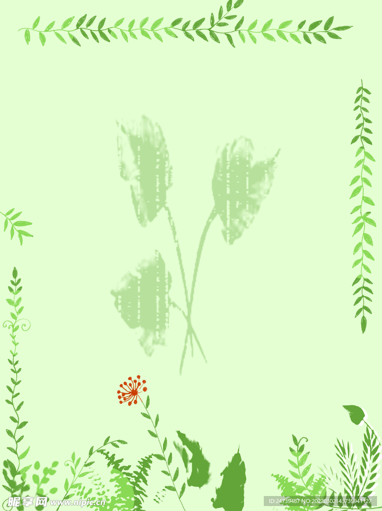 植物