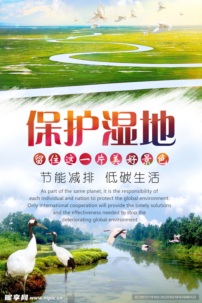 清新保护湿地环保宣传海报设计