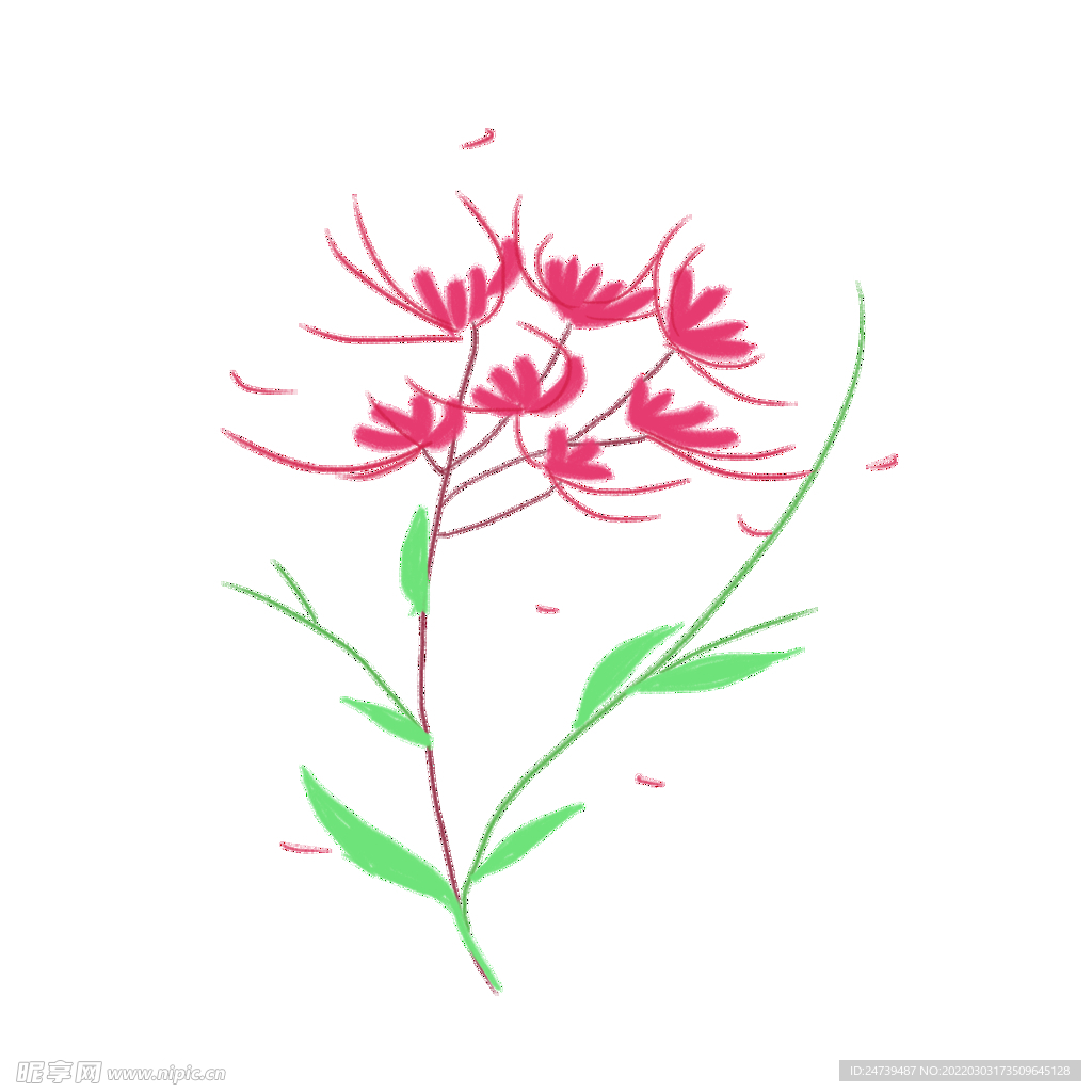 小花