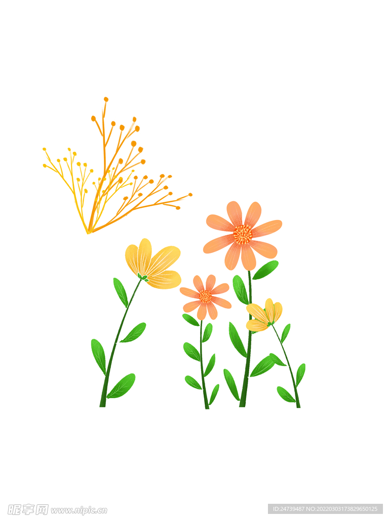 植物