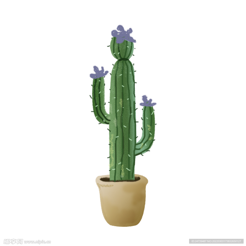 植物仙人掌