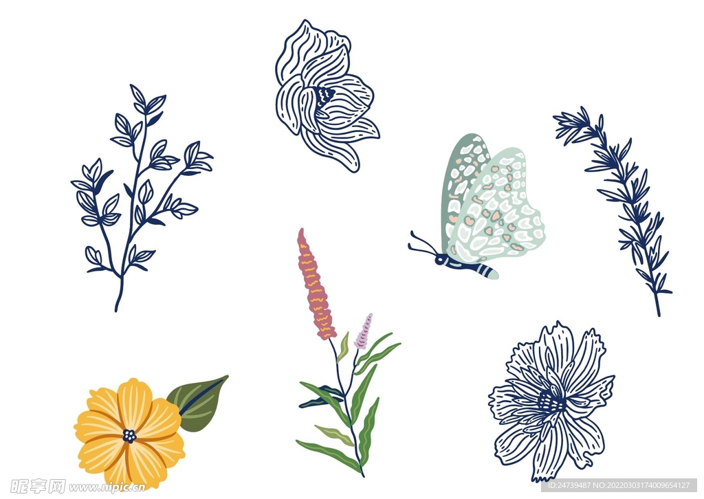 小花蝴蝶素材