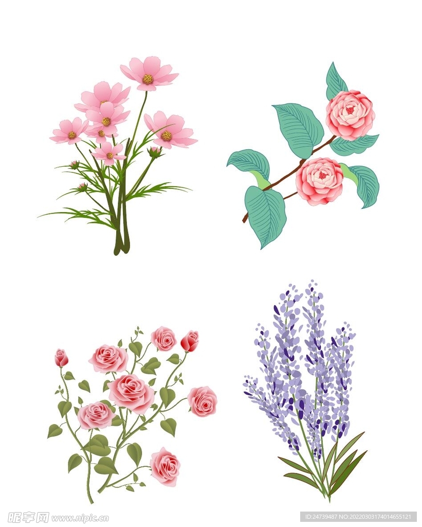 植物元素