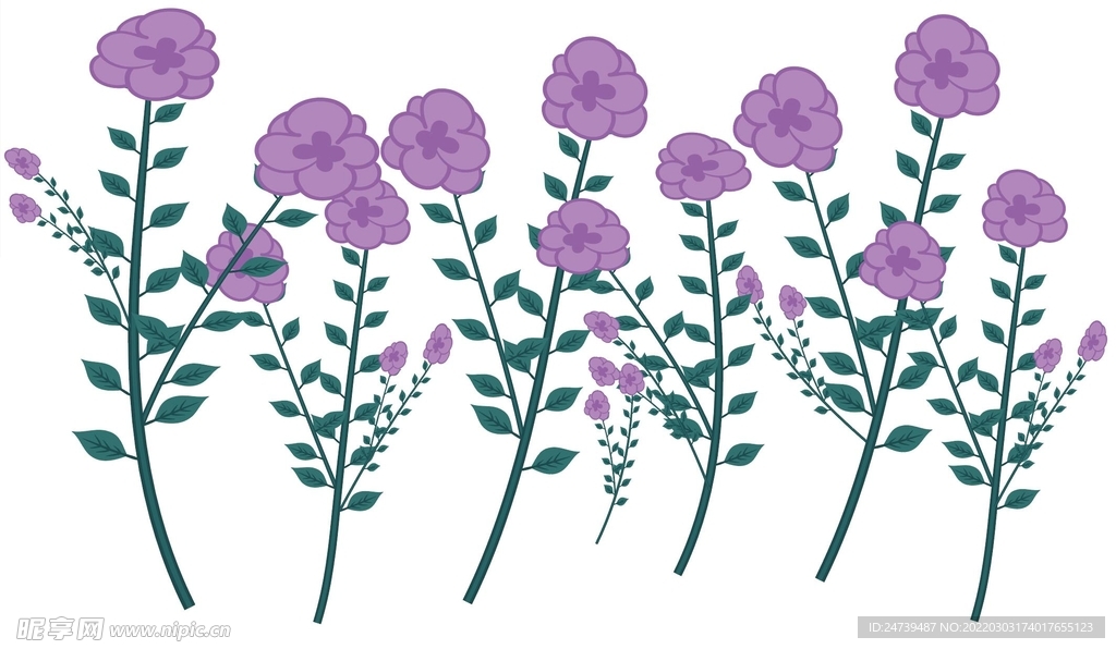 紫色花朵素材