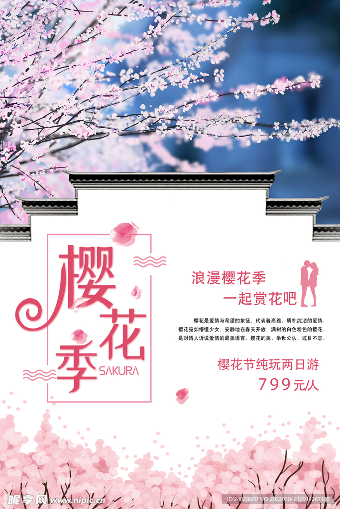 樱花季旅游