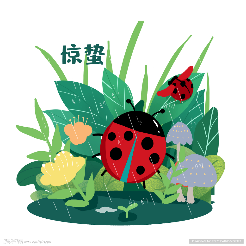 节气惊蛰雨天的瓢虫素材