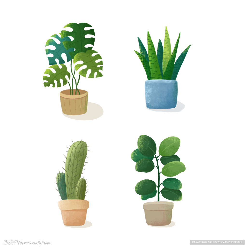 绿植盆栽