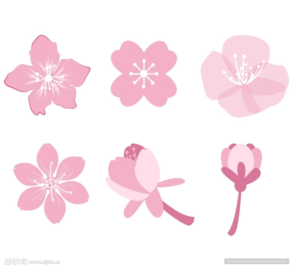 樱花矢量图
