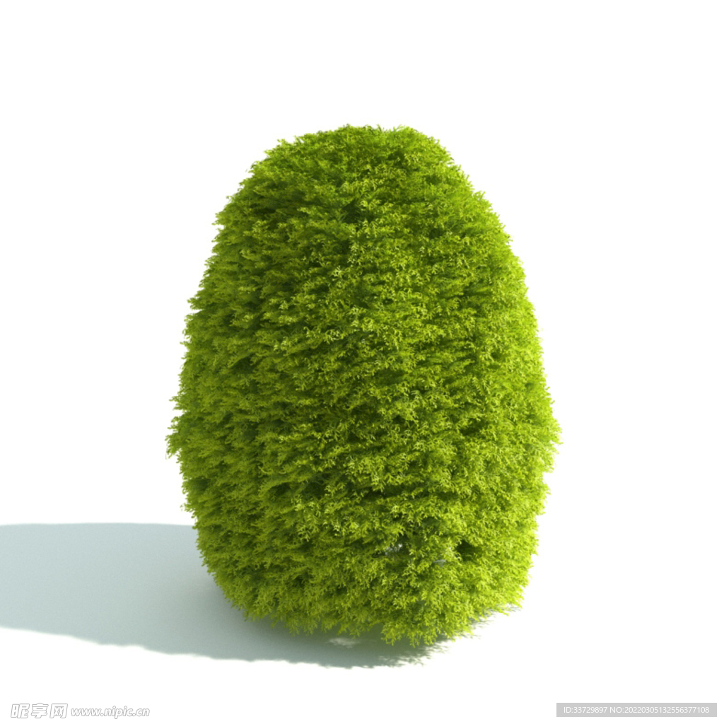 植物篱笆