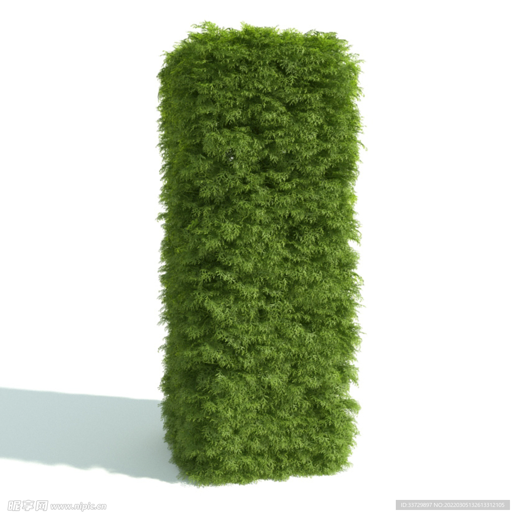 植物篱笆