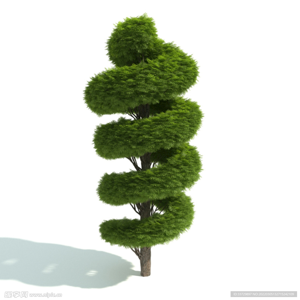 植物篱笆