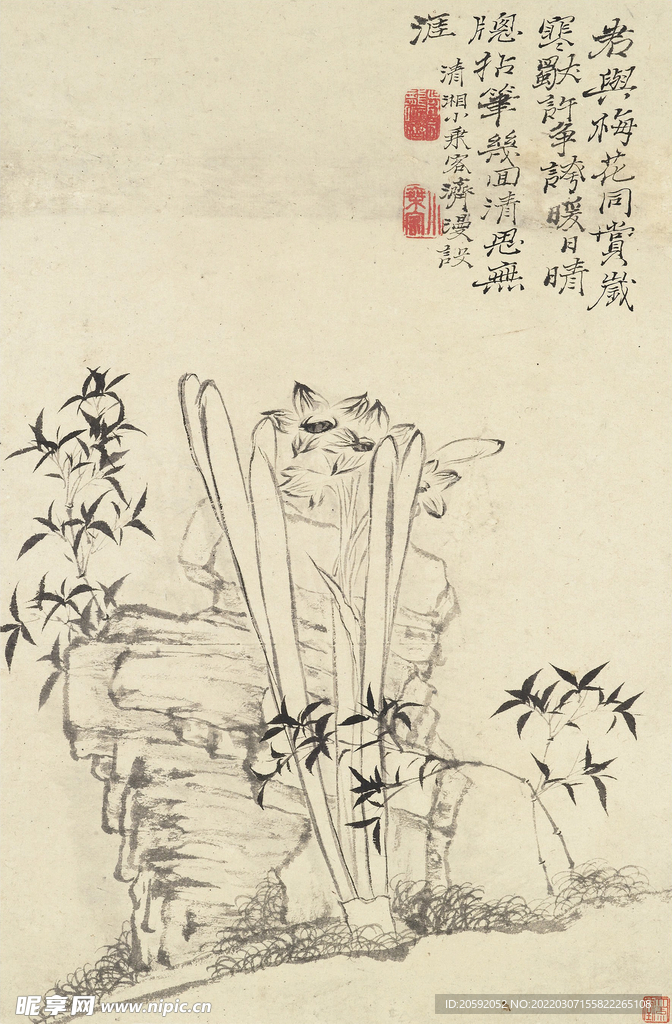 花鸟图  