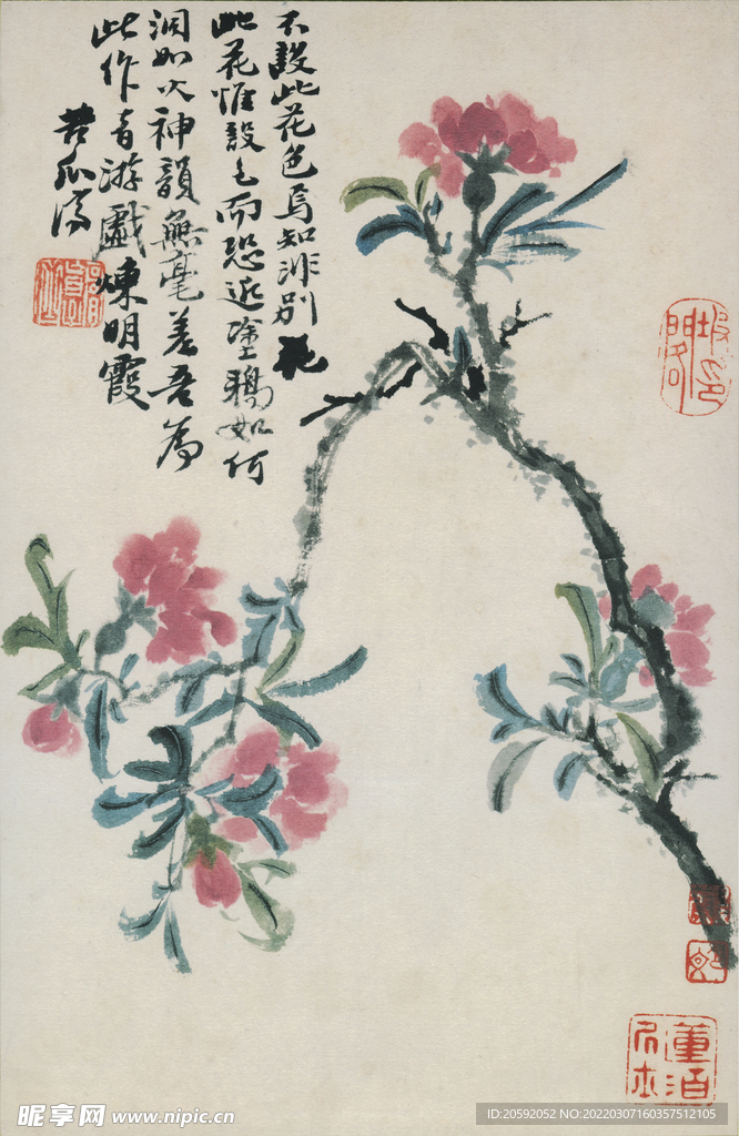 花鸟图 