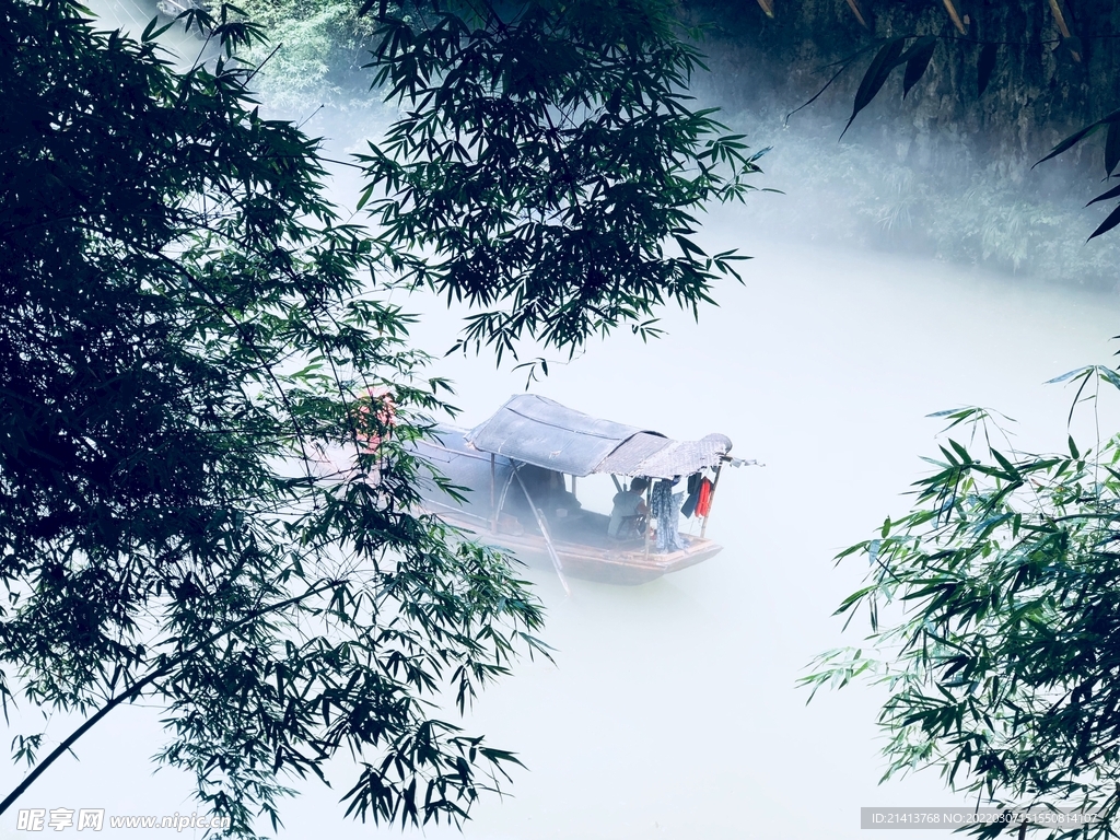 绿植绿叶树叶 
