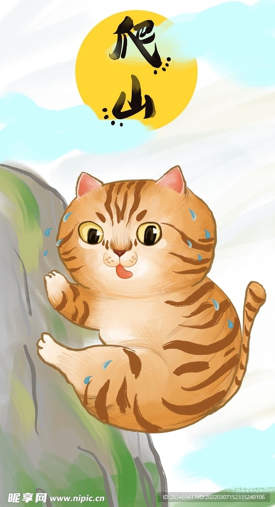 萌主猫            