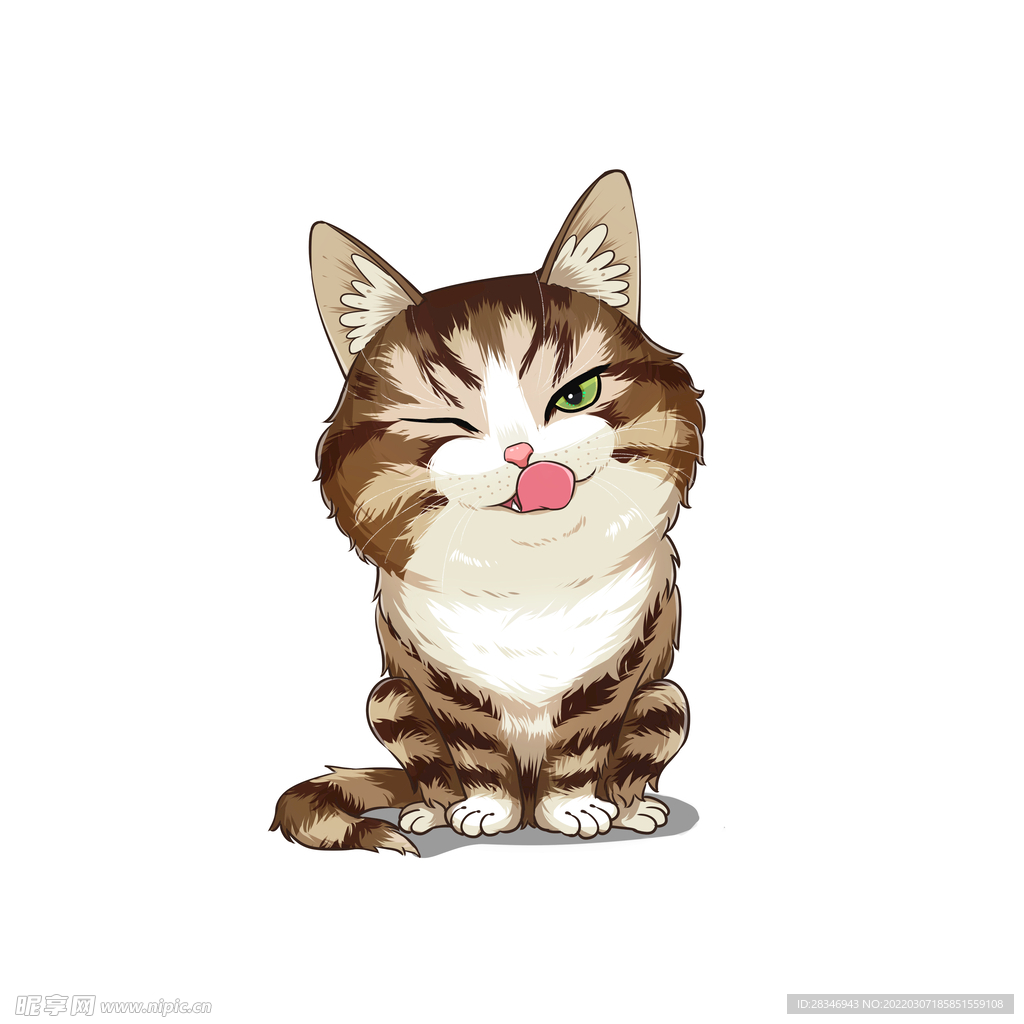 猫              