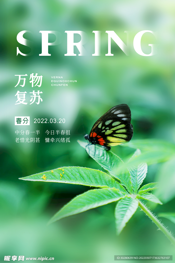 春分