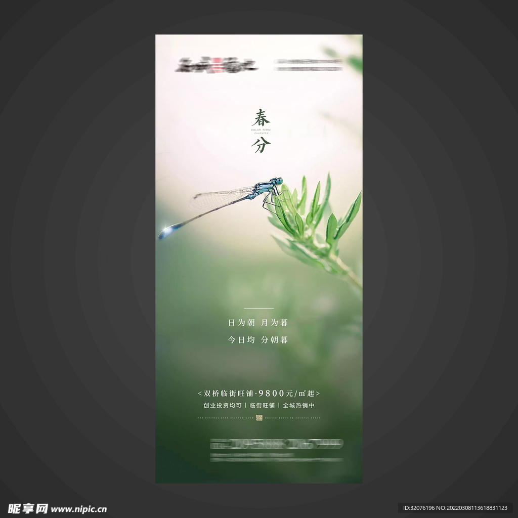 春分手机海报