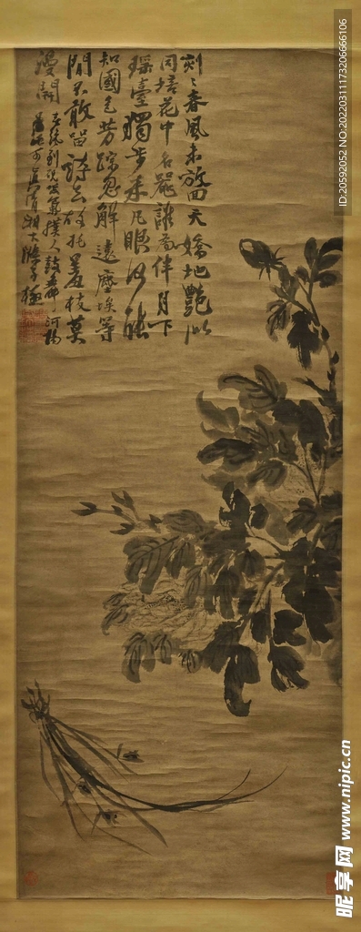  牡丹兰花图    