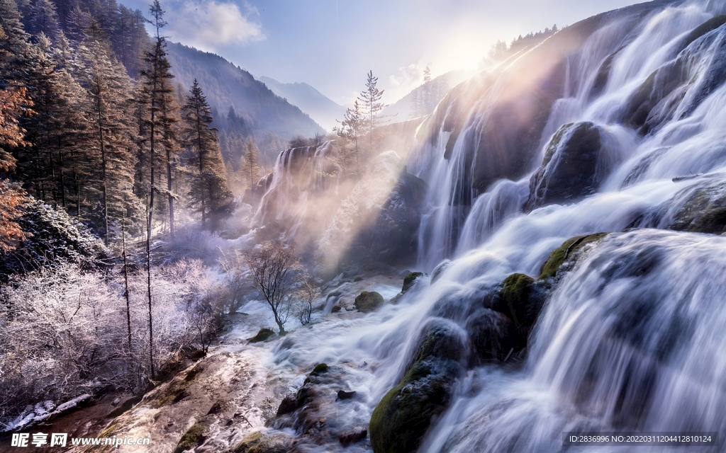 林中美景
