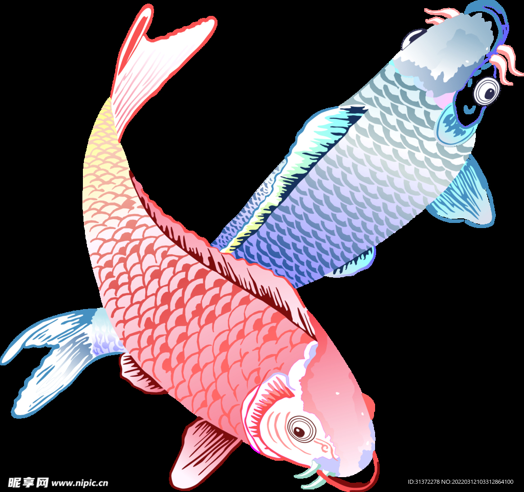  金鱼锦鲤手绘插画图片