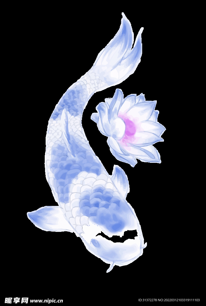  金鱼锦鲤手绘插画图片