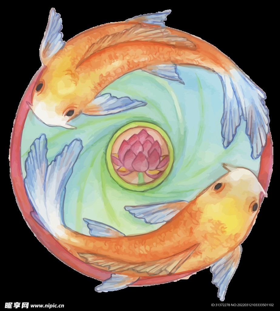  金鱼锦鲤手绘插画图片