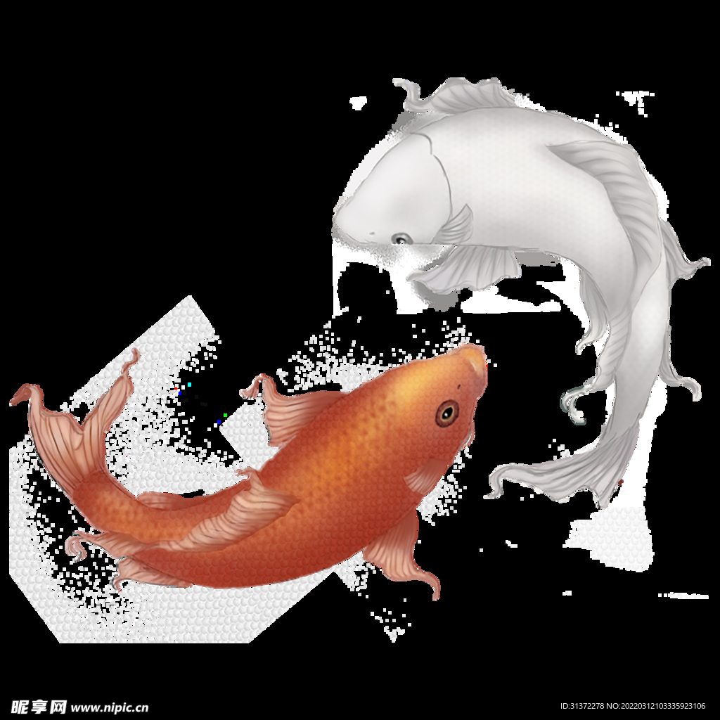 金鱼锦鲤手绘插画图片