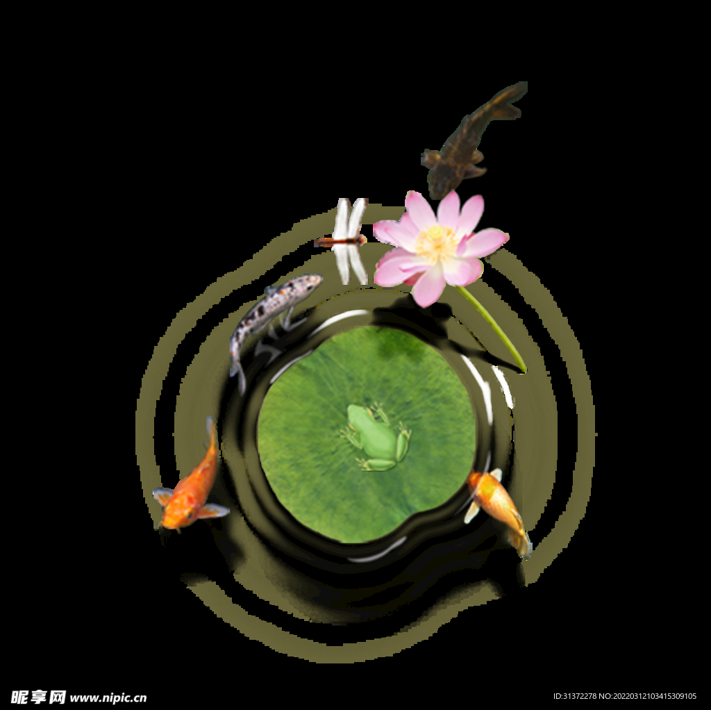  金鱼锦鲤手绘插画图片