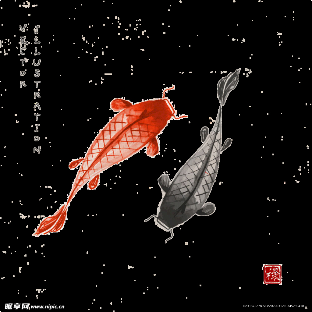 金鱼锦鲤手绘插画图片