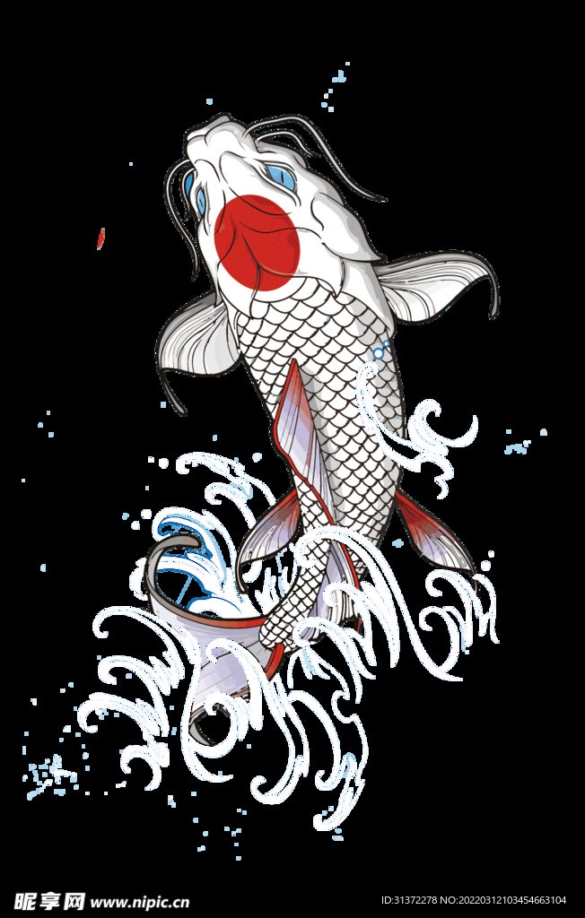  金鱼锦鲤手绘插画图片