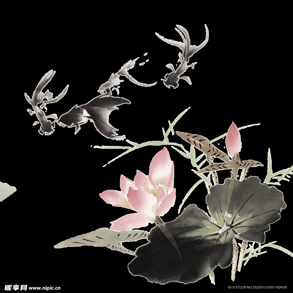  金鱼锦鲤手绘插画图片