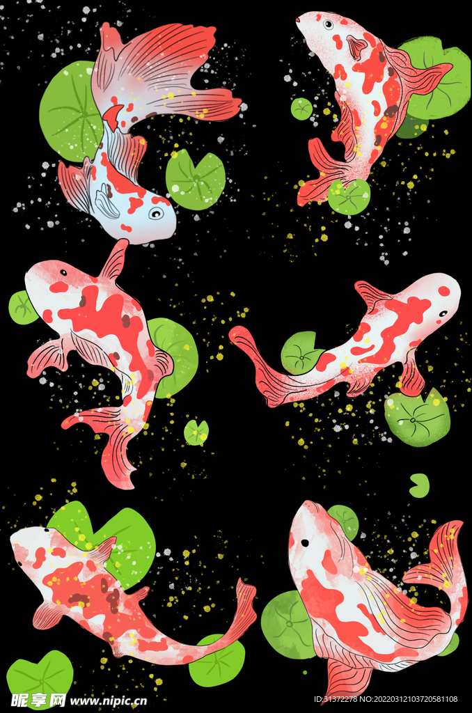 金鱼锦鲤手绘插画图片