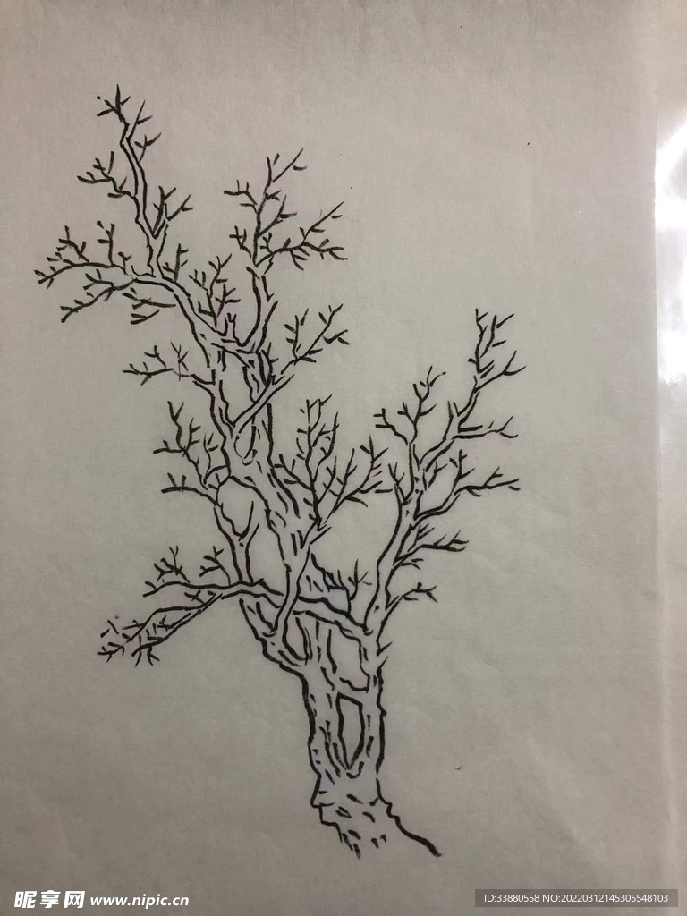 手绘 树