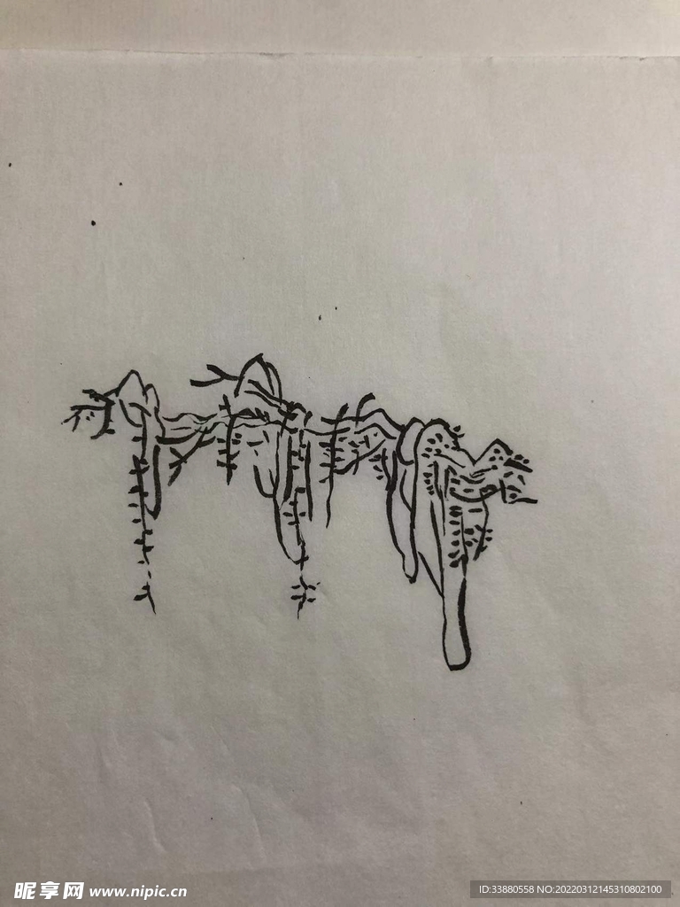 手绘 藤