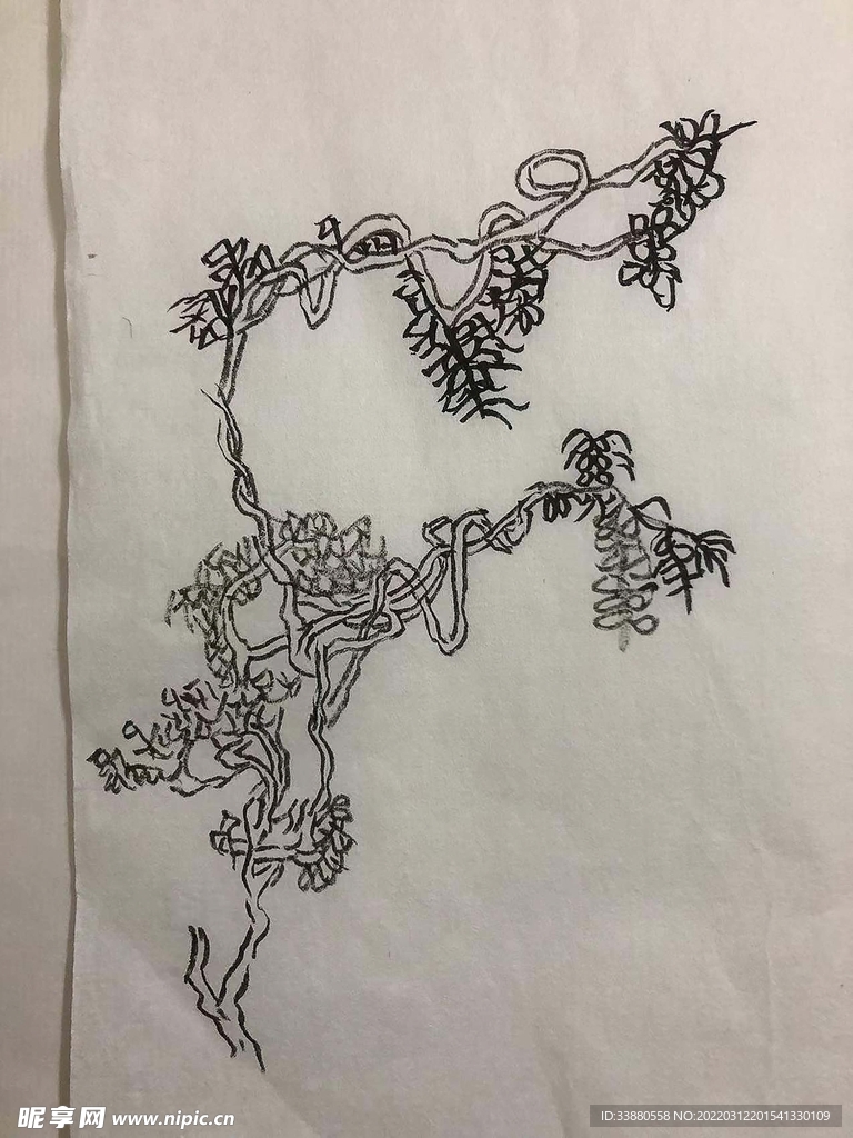 手绘 藤