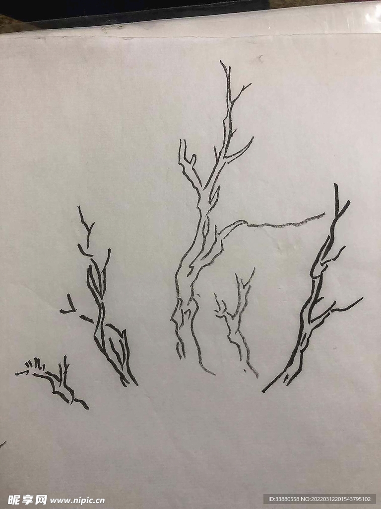 手绘 树