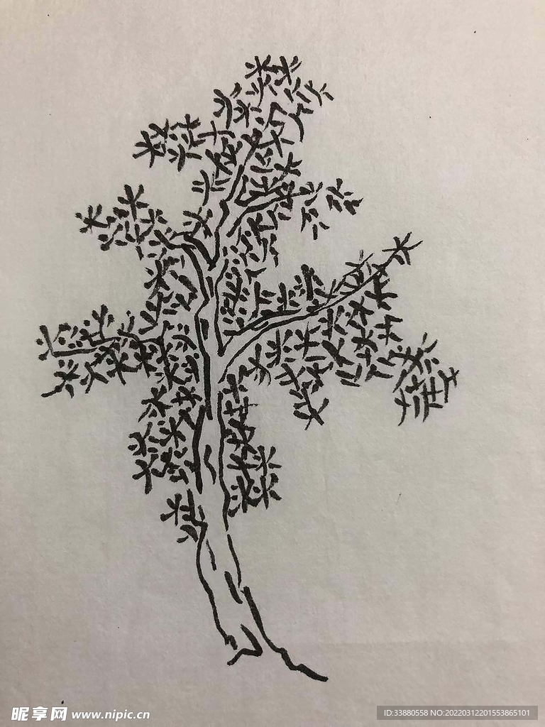 手绘 树