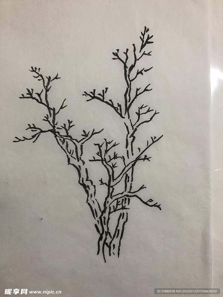 手绘 树
