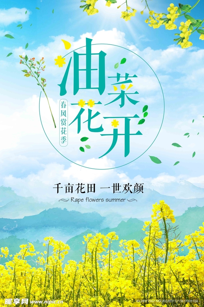 油菜花海报