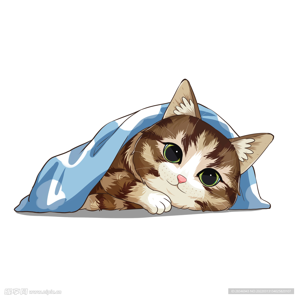 猫              