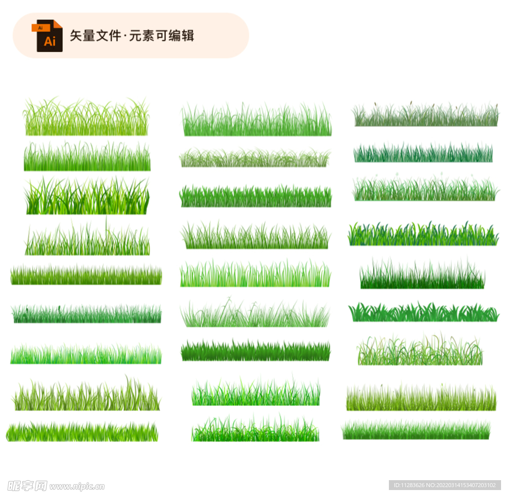 草丛插画素材