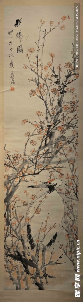 虚谷  