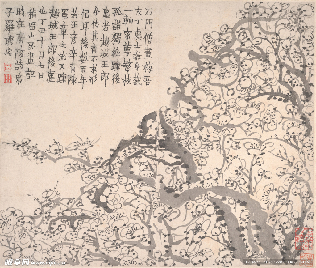 梅花图  