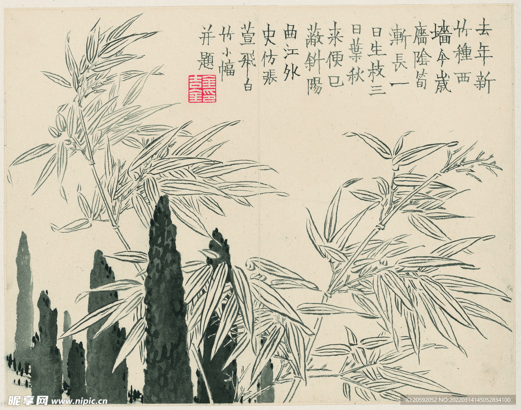 花鸟图 
