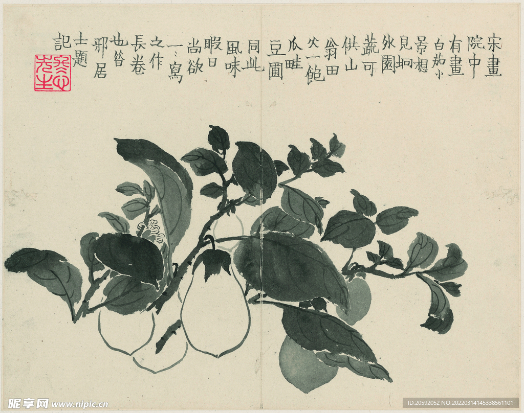 花鸟图 