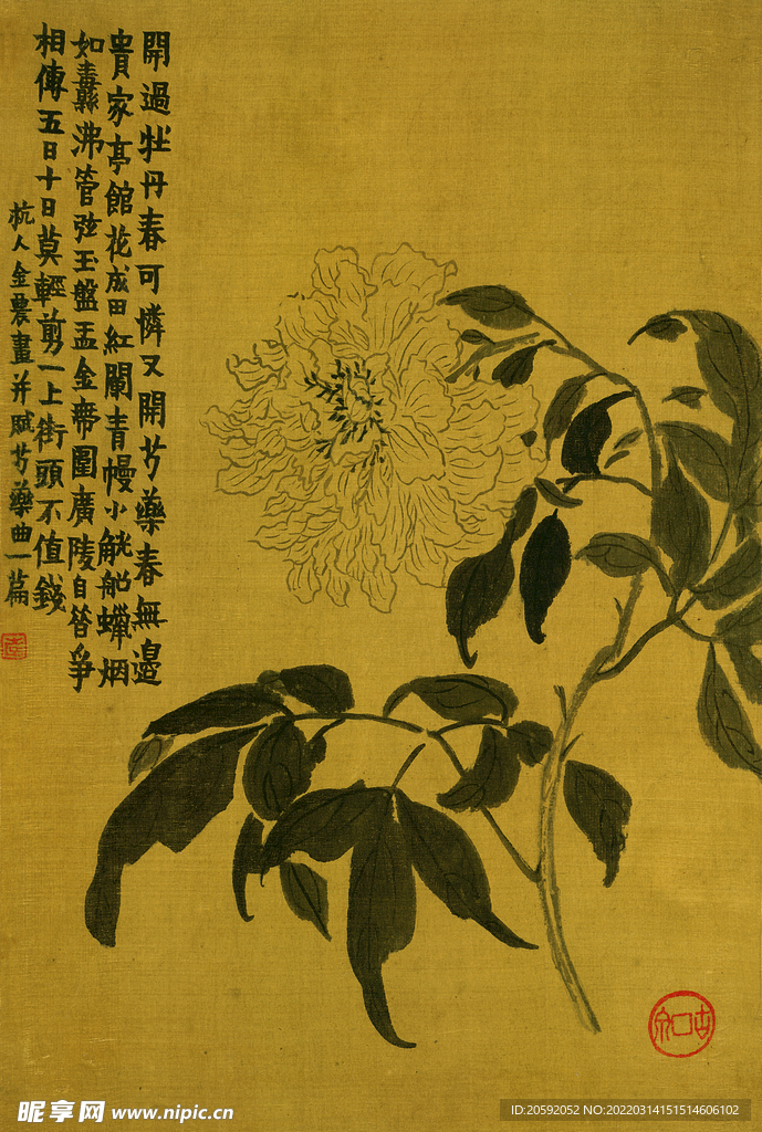 花鸟图 