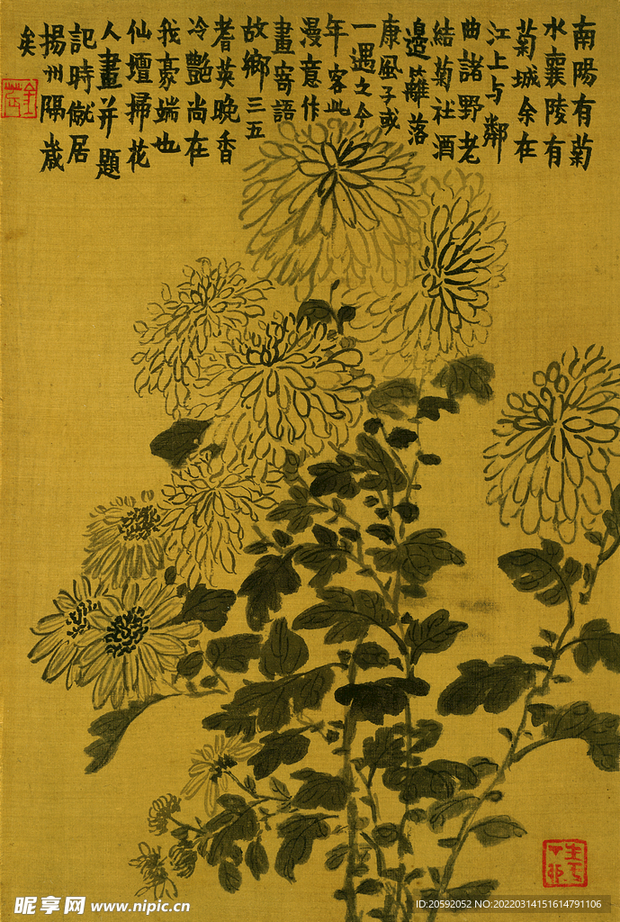 花鸟图 
