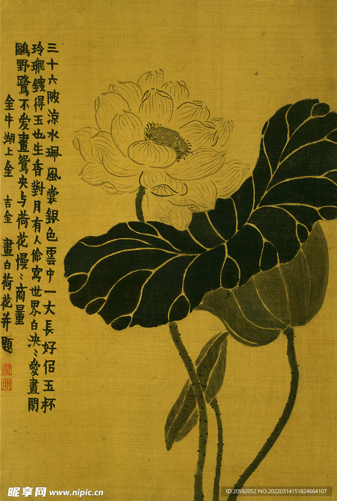 荷花图